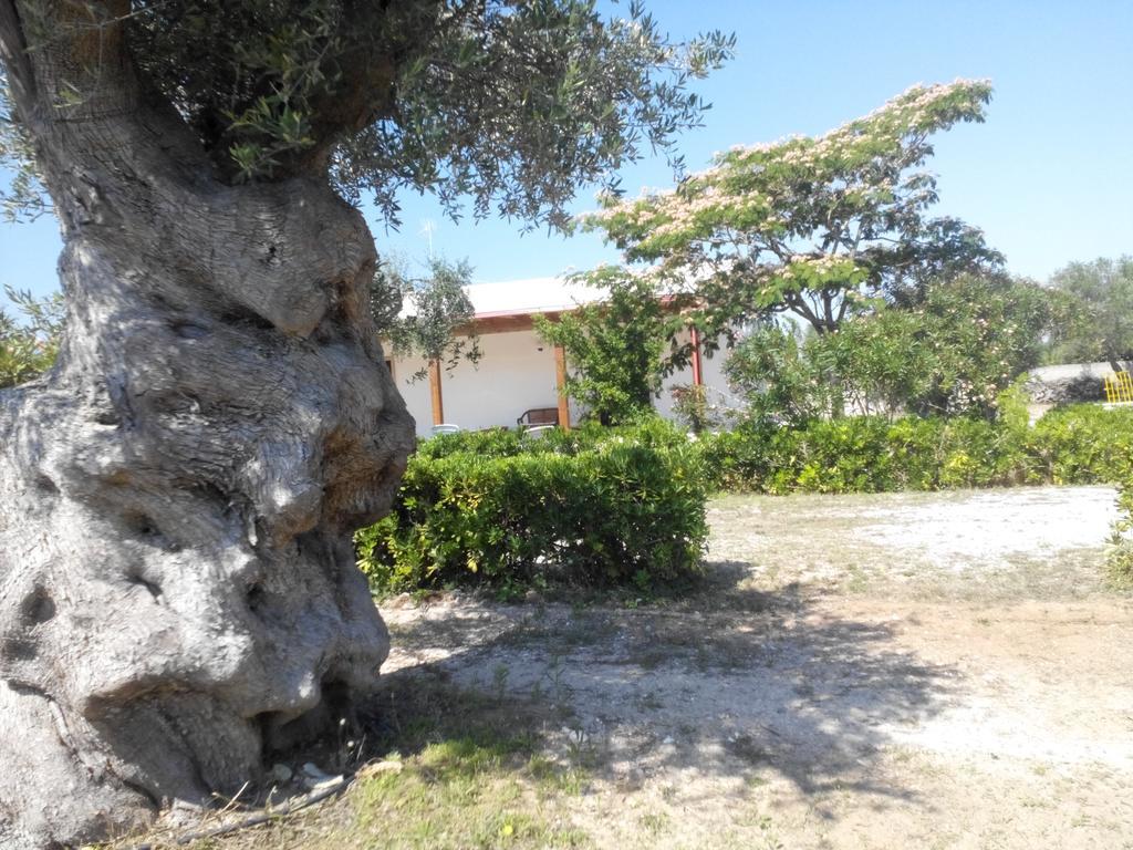 Agriturismo Villa Tommaso Торре-дель-Орсо Екстер'єр фото